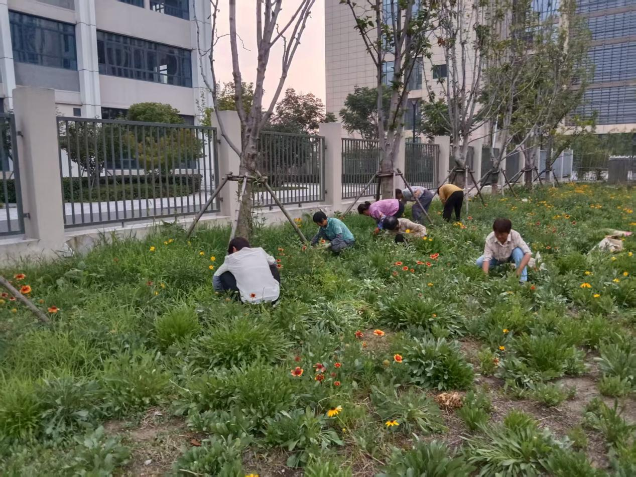 尊时凯龙·(中国区)人生就是搏