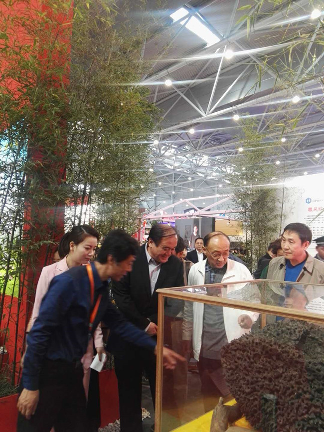 尊时凯龙·(中国区)人生就是搏