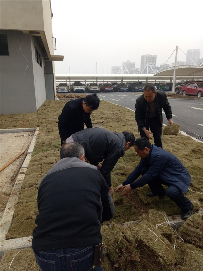 尊时凯龙·(中国区)人生就是搏