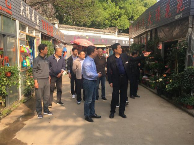 尊时凯龙·(中国区)人生就是搏