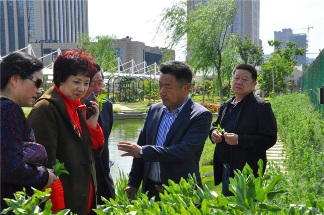 尊时凯龙·(中国区)人生就是搏