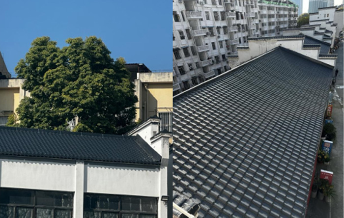 尊时凯龙·(中国区)人生就是搏